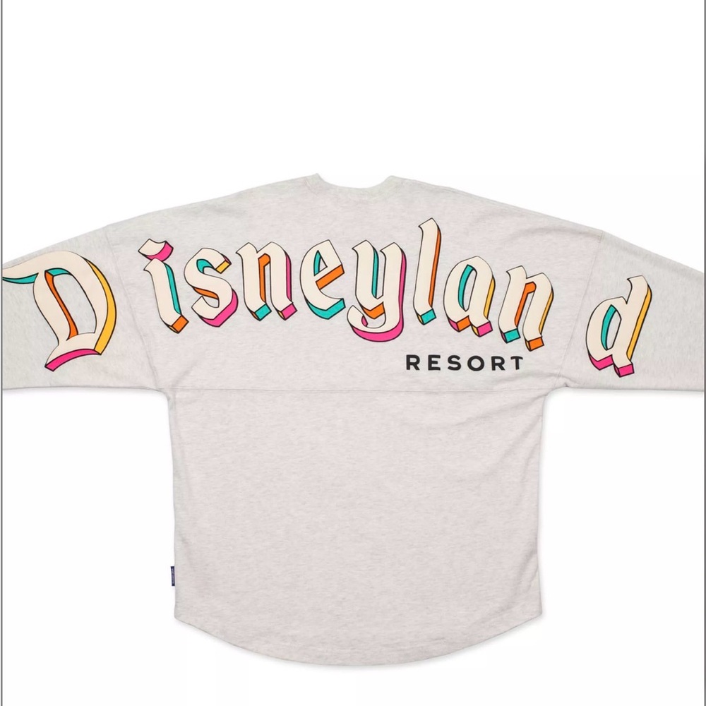 Disneyland Resort 2024 Disney Colorblock Gray Spirit Jersey Colored Banner Large